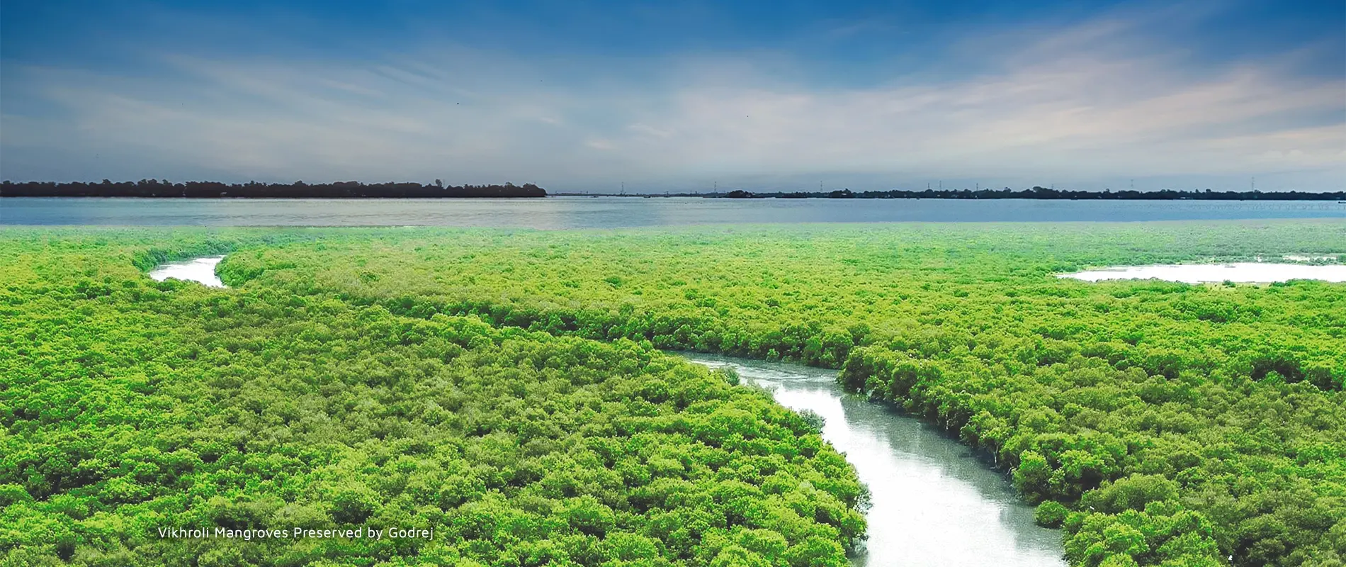 6-godrej-mangroves-desktop-size-1900-x800-fCtBDeBen0j7uaoNW3ky