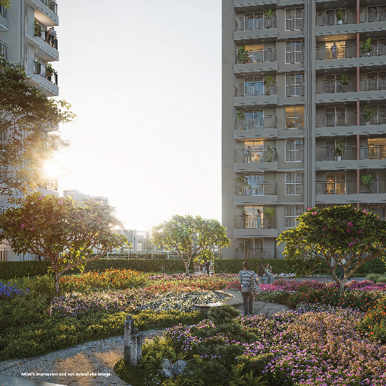 Flower Garden