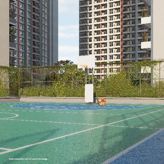 Multi Purpose Court