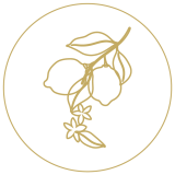 160x160-09-cmjr0kzht0007ekphevzobuy5